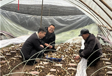 丹棱：跳出“农门”再回“农门” “新农人”何斌助力乡村振兴