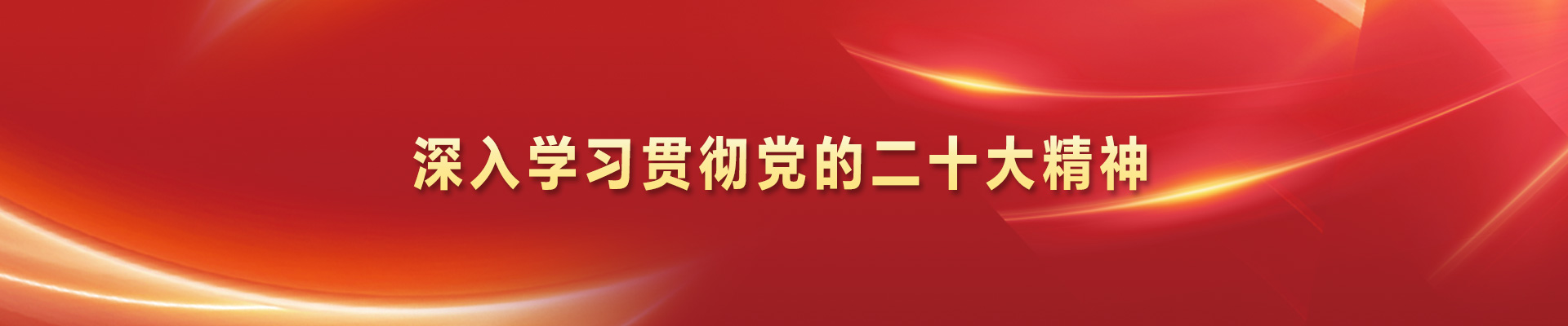 学习贯彻党的二十大精神