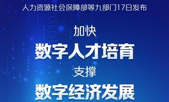 九部门发文加快数字人才培育